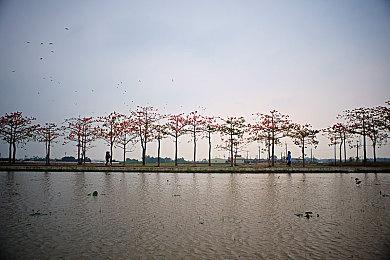 DC超英新片预告混剪  “这个世界需要英雄”